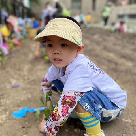 向阳花幼儿园社会实践研学活动—幼见春天   乐享春耕