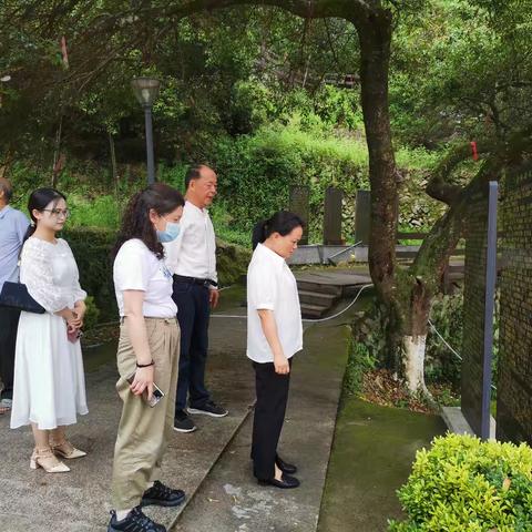 县人大到洋中镇开展代表重点建议督办工作
