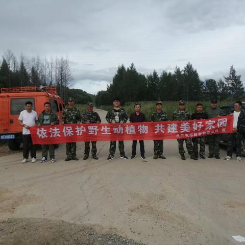 伊其罕林场积极开展打击非法采挖野生药材专项活动