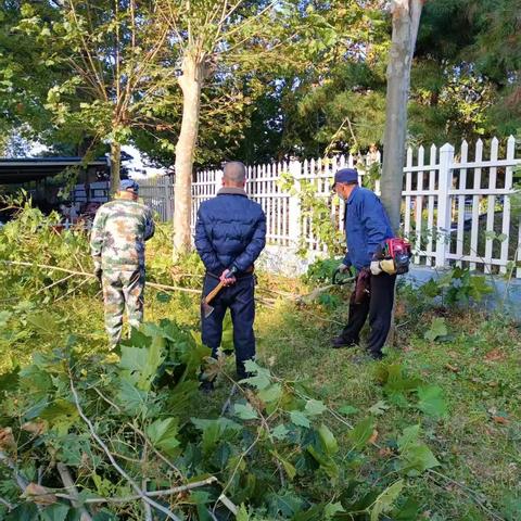 海建里社区开展“双清”活动 公创美好家园