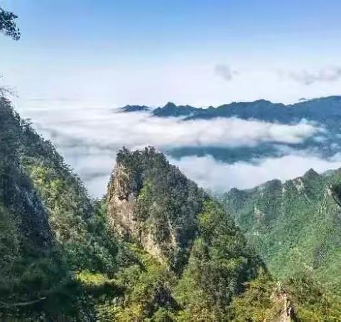 【特惠来袭￼】西峡老界岭一日游￼