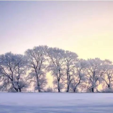 轻盈小雪至   小雪暖寒冬——梁山县第一实验小学教育集团（五实小附属幼儿园）二十四节气系列活动之小雪