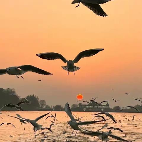 年轻干部“六聚焦”