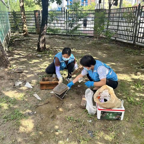 唐家岭社区常态化开展清理环境卫生及整治楼道堆物堆料专项行动