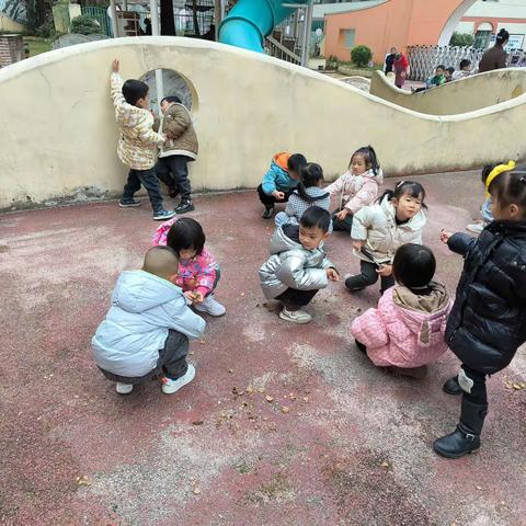 大进中心幼儿园中一班十二月及一月记录