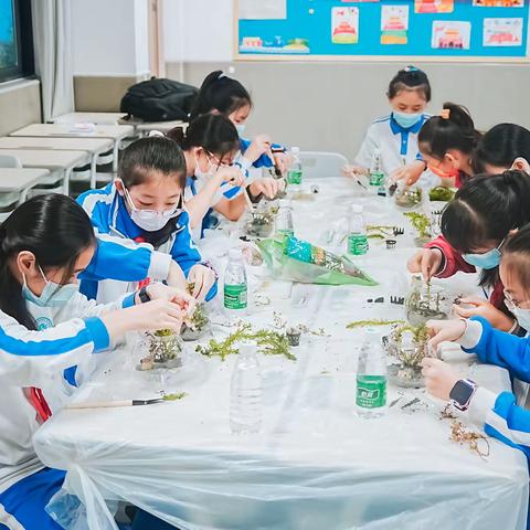 龙光社区昆虫与生态活动