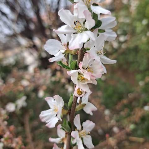 校园防欺凌，友爱伴成长——汶上学区单王庄小学防欺凌教育活动