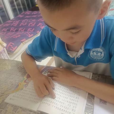 阅读小达人 固原市第一小学 三年级3班 邵忆硕