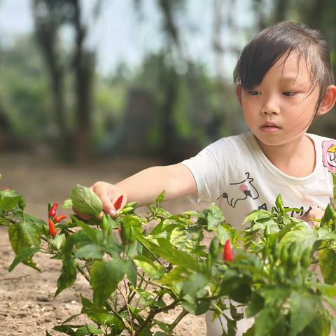 【亲子电台】——《小兔子学花钱》