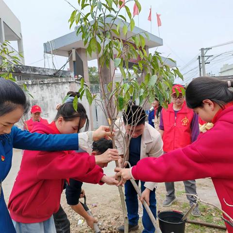 “植绿护绿，美化乡村”主题党日活动