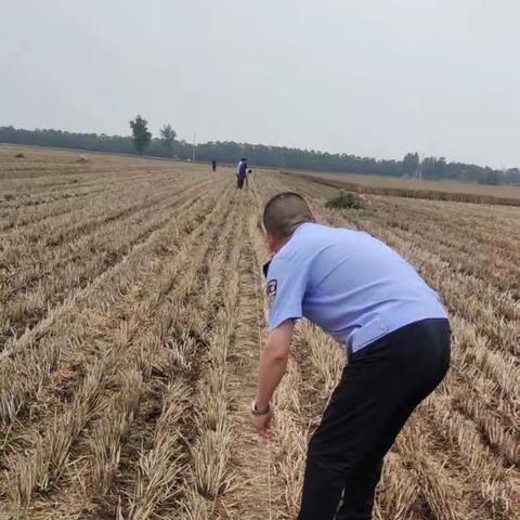 地边问题引纠纷，网格调解促和谐