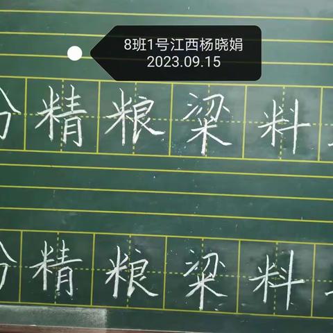 支教岛粉笔8班第46周成长记录