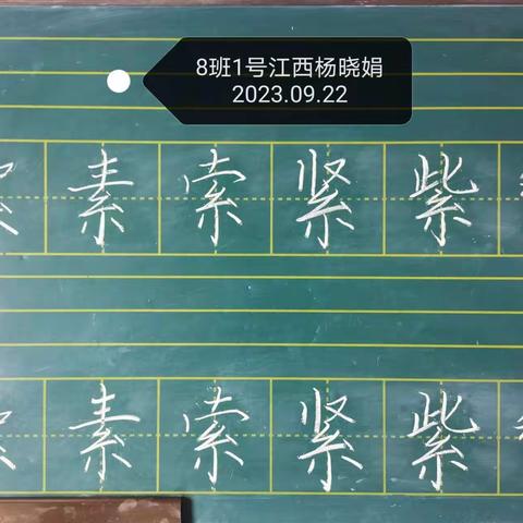 支教岛粉笔8班第47周成长记录