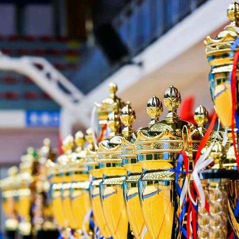 活力绽放全国赛 笃行致远育英才