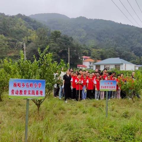 走进劳动基地 体验劳动快乐——杨岐乡石岭小学劳动基地实践活动