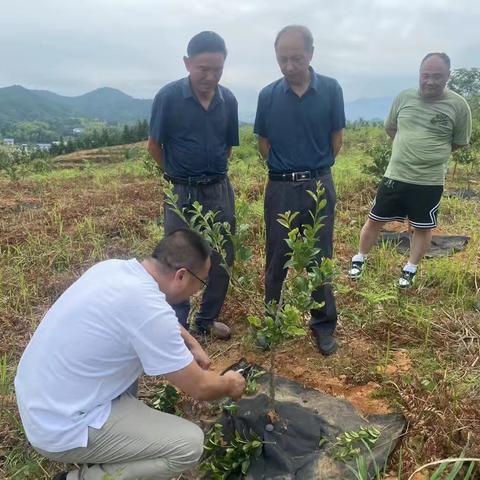 老年科协会莅临我公司调研