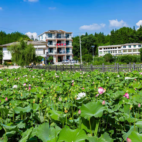 鸿味闲居民宿农家院欢迎您