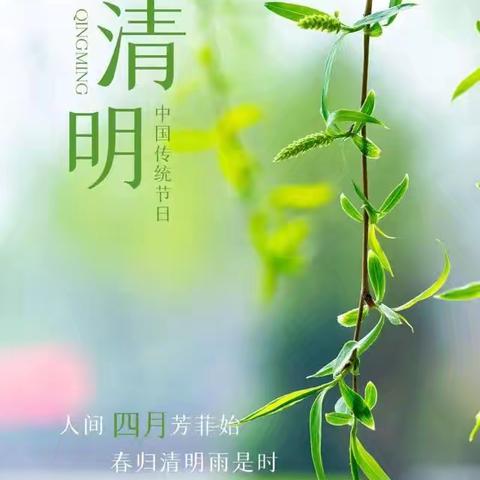 大兴镇新苗幼儿园春假、清明节安全温馨提示