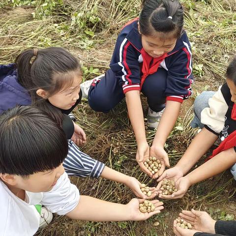 播种希望  收获果实