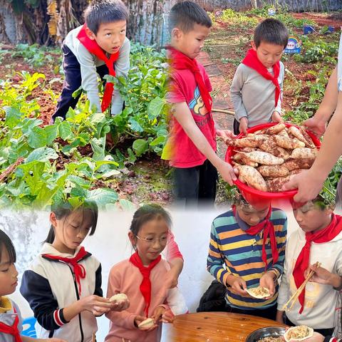 实践基地在校园，特色劳动助成长 记紫金县义容镇大新小学 劳动实践活动成果分享