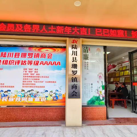 爆火的DeepSeek，来介绍一下陆川县珊罗镇商会