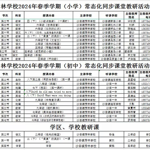 教研领航促成长 凝心聚力拓新程 平桂区沙田镇芳林学校 2024年春季学期教研工作总结