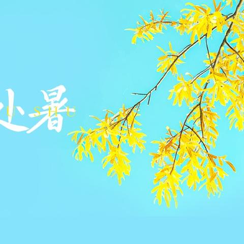 《神奇的叶子》板溪镇中心幼儿园中二班主题课程 ‍