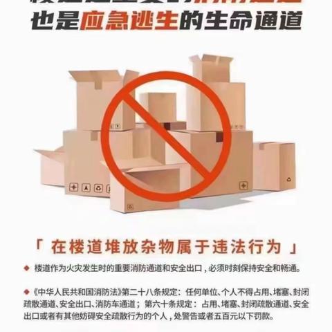 楼道杂物被清理，物业无过错，不赔偿！