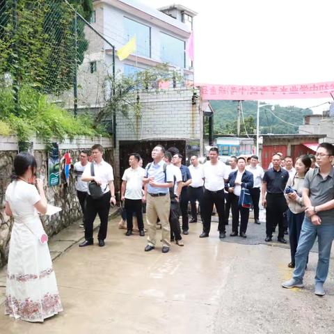 大化而起 奔向远方