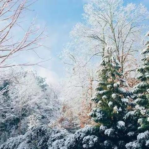 瑞雪纷飞满校园 扫雪除冰暖人心 ——迁安市兴安街道新寨小学校园扫雪纪实