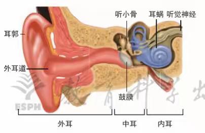 新教科版小学科学四年级上册知识点整理