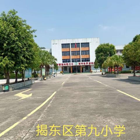 中期汇报展成果，专家指导促提升 ——记揭东区第九小学区级数学课题中期报告会