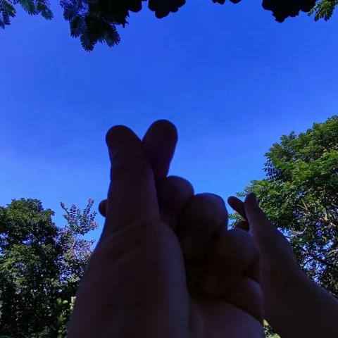 【修竹班】的简篇