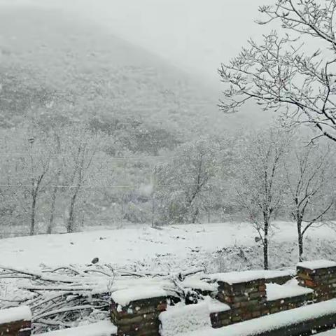 排险解难    清雪除冰