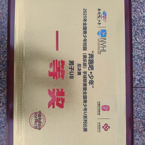 凤阳工小手球队U8组勇夺全国亚军