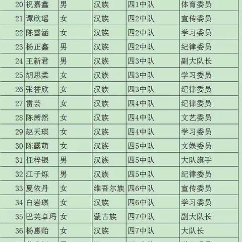 逐梦红领巾 遇见“队”的你 ——库尔勒市第八小学2023-2024学年第一学期大队委竞选