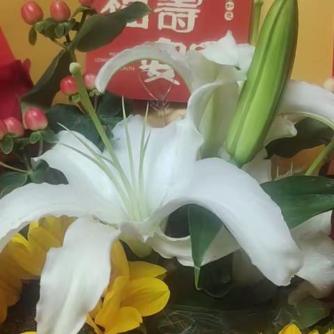 鲜花在生日里怒放