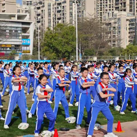 橄为人先，榄动天下， 奔跑吧，少年!