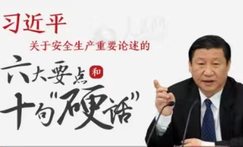 习近平关于安全生产重要论述的六大要点和10句"硬话"