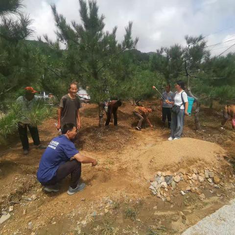 大王庄镇云亭苗木残疾人就业基地培训记录（2）