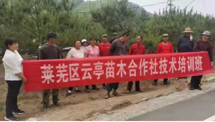 云亭苗木基地助力残疾人就业 松树栽培技能培训进独路村