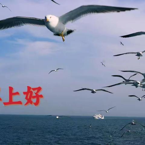 张艳的简篇