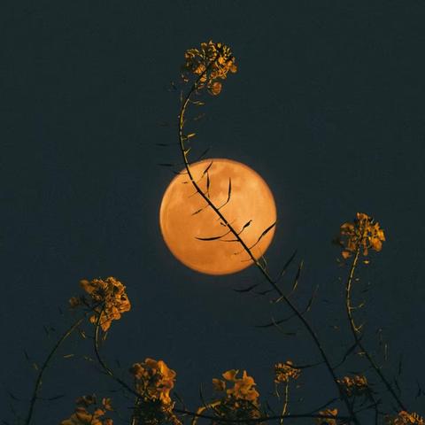 感念师恩，共话团圆