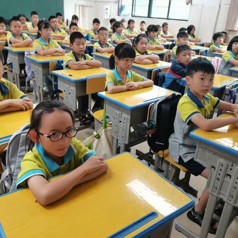 楚英学校59班班干部竞选👦👧