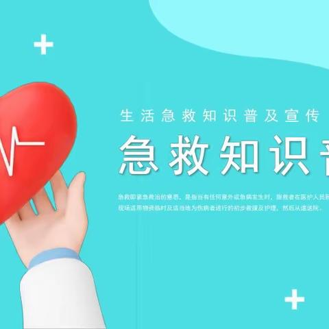 急救春风吹入校，培育幼苗伴成长