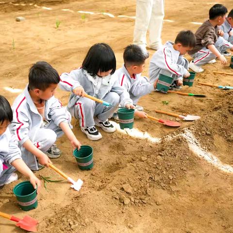 红苗逐梦 • 劳动启智 青龙第一幼儿园红色教育实践活动