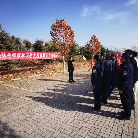 新安县林业局开展2023—2024年度森林防灭火实战演练