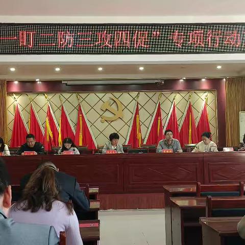 西张村镇：为扎实推进“一盯二防三攻四促”专项行动及时召开工作培训会