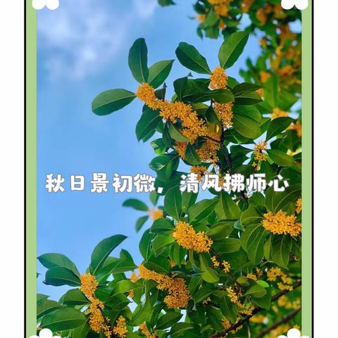 聚“心”赋能，“心”育未来——光山二中暑期校本培训（六）之心理健康教育讲座纪实