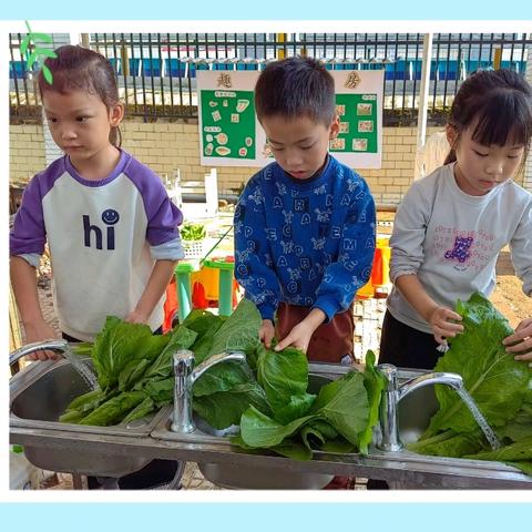 萌娃化身“小掌柜”，趣味卖菜悟成长——2025年秋浦北县寨圩镇中心幼儿园社会实践活动